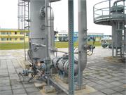 Banatski dvor slika32